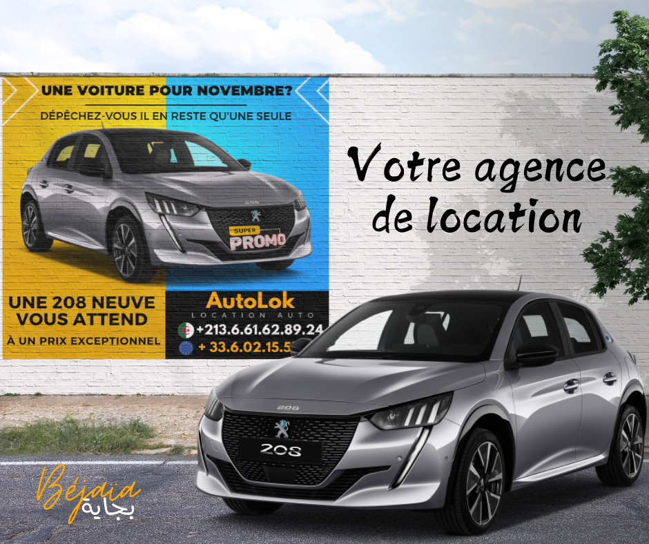 Nouvelle 208
